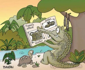 alligator-album.jpg