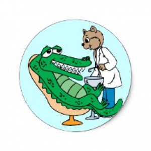 dentist_fox_alligator_dental_dentist_hygienist_sticker-p217678289840790512en7l1_216.jpg